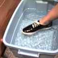  : Gallery : original : 2001 : 08 : T_wet551.jpg