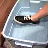  : Gallery : original : 2001 : 08 : T_wet566.jpg