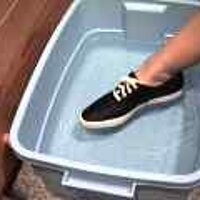  : Gallery : original : 2001 : 08 : T_wet568.jpg