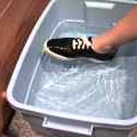  : Gallery : original : 2001 : 08 : T_wet572.jpg