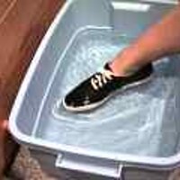  : Gallery : original : 2001 : 08 : T_wet586.jpg