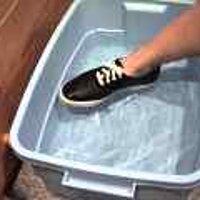  : Gallery : original : 2001 : 08 : T_wet588.jpg