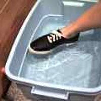  : Gallery : original : 2001 : 08 : T_wet589.jpg