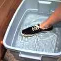  : Gallery : original : 2001 : 08 : T_wet597.jpg