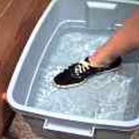  : Gallery : original : 2001 : 08 : T_wet598.jpg
