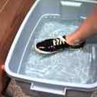  : Gallery : original : 2001 : 08 : T_wet599.jpg