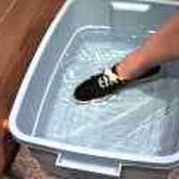  : Gallery : original : 2001 : 08 : T_wet605.jpg