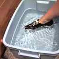  : Gallery : original : 2001 : 08 : T_wet608.jpg