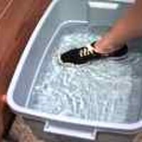  : Gallery : original : 2001 : 08 : T_wet611.jpg