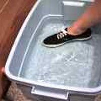  : Gallery : original : 2001 : 08 : T_wet613.jpg