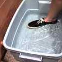  : Gallery : original : 2001 : 08 : T_wet614.jpg