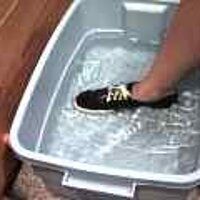  : Gallery : original : 2001 : 08 : T_wet618.jpg