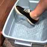  : Gallery : original : 2001 : 08 : T_wet620.jpg
