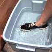  : Gallery : original : 2001 : 08 : T_wet622.jpg