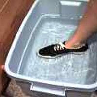  : Gallery : original : 2001 : 08 : T_wet623.jpg