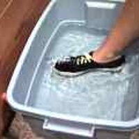  : Gallery : original : 2001 : 08 : T_wet624.jpg