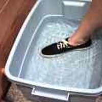  : Gallery : original : 2001 : 08 : T_wet625.jpg