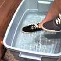  : Gallery : original : 2001 : 08 : T_wet631.jpg