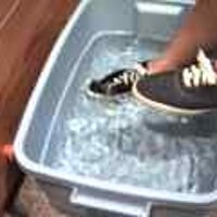  : Gallery : original : 2001 : 08 : T_wet639.jpg