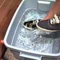  : Gallery : original : 2001 : 08 : T_wet641.jpg