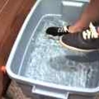  : Gallery : original : 2001 : 08 : T_wet642.jpg