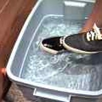  : Gallery : original : 2001 : 08 : T_wet643.jpg