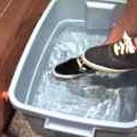  : Gallery : original : 2001 : 08 : T_wet646.jpg