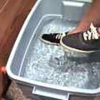  : Gallery : original : 2001 : 08 : T_wet647.jpg