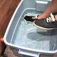  : Gallery : original : 2001 : 08 : T_wet666.jpg
