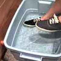  : Gallery : original : 2001 : 08 : T_wet671.jpg