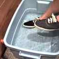 : Gallery : original : 2001 : 08 : T_wet673.jpg