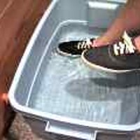  : Gallery : original : 2001 : 08 : T_wet674.jpg