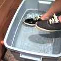  : Gallery : original : 2001 : 08 : T_wet675.jpg
