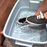  : Gallery : original : 2001 : 08 : T_wet678.jpg