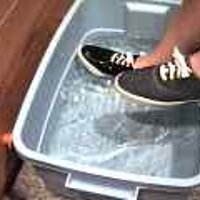  : Gallery : original : 2001 : 08 : T_wet680.jpg