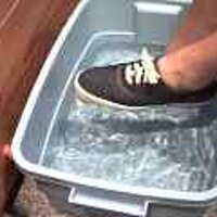  : Gallery : original : 2001 : 08 : T_wet682.jpg