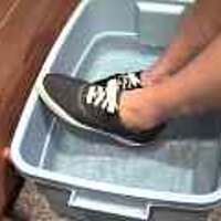  : Gallery : original : 2001 : 08 : T_wet686.jpg