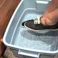  : Gallery : original : 2001 : 08 : T_wet688.jpg