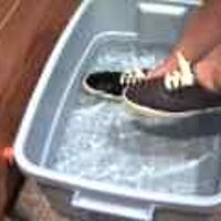  : Gallery : original : 2001 : 08 : T_wet694.jpg