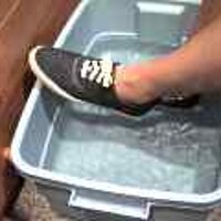  : Gallery : original : 2001 : 08 : T_wet705.jpg