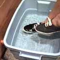  : Gallery : original : 2001 : 08 : T_wet708.jpg
