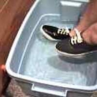  : Gallery : original : 2001 : 08 : T_wet709.jpg