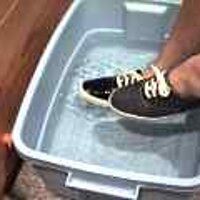  : Gallery : original : 2001 : 08 : T_wet713.jpg