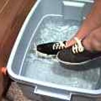  : Gallery : original : 2001 : 08 : T_wet724.jpg