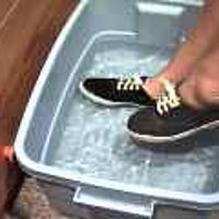  : Gallery : original : 2001 : 08 : T_wet726.jpg