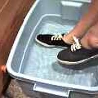  : Gallery : original : 2001 : 08 : T_wet731.jpg