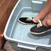  : Gallery : original : 2001 : 08 : T_wet741.jpg
