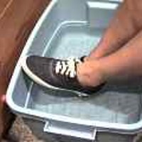  : Gallery : original : 2001 : 08 : T_wet757.jpg