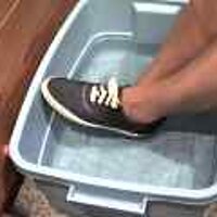  : Gallery : original : 2001 : 08 : T_wet758.jpg