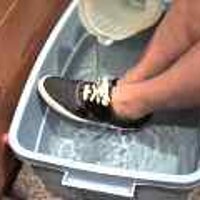  : Gallery : original : 2001 : 08 : T_wet762.jpg
